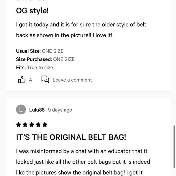 LULULEMON | Everywhere Belt Bag 1L Pride - Picture 8 of 8